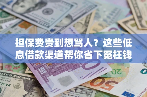 济南担保费贵到想骂人？这些低息借款渠道帮你省下冤枉钱