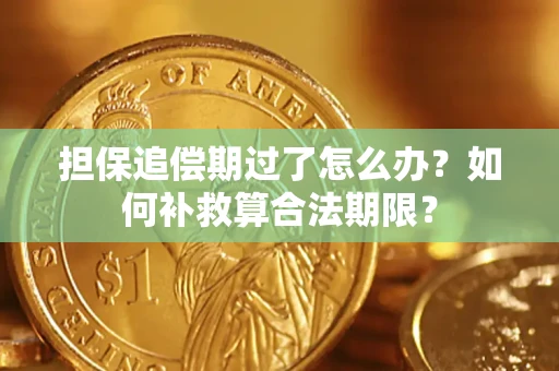 济南担保追偿期过了怎么办？如何补救算合法期限？