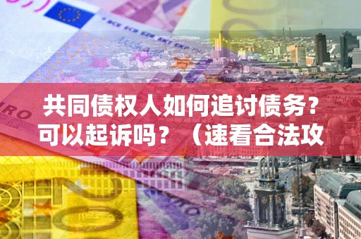 济南共同债权人如何追讨债务？可以起诉吗？（速看合法攻略）